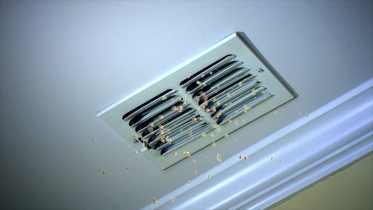 Professional Airduct Cleaning in Eastpoint, FL