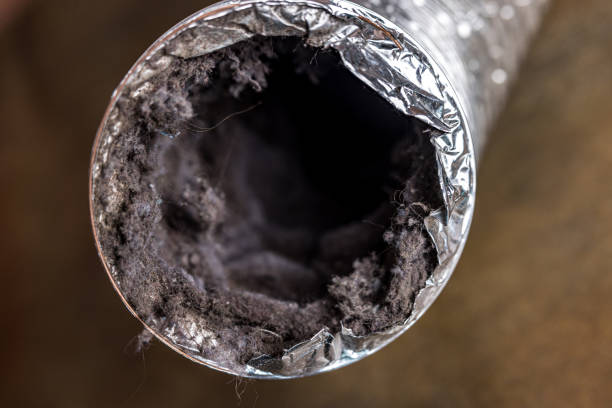 Air Duct Mold Removal in Eastpoint, FL