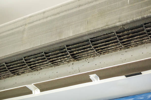 Best Best Air Duct Cleaning Company  in Eastpoint, FL