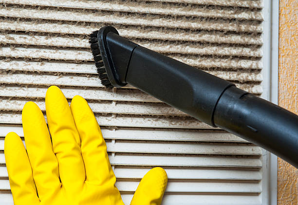 Best Air Duct Mold Removal  in Eastpoint, FL